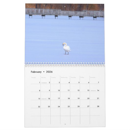 Calendrier Swans (Feb 2026)