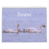 Calendrier Swans (Protection)