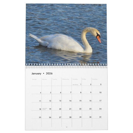 Calendrier Swans (Jan 2026)