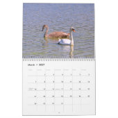 Calendrier Swans (Mar 2027)