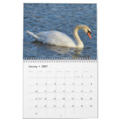 Calendrier Swans (Jan 2027)