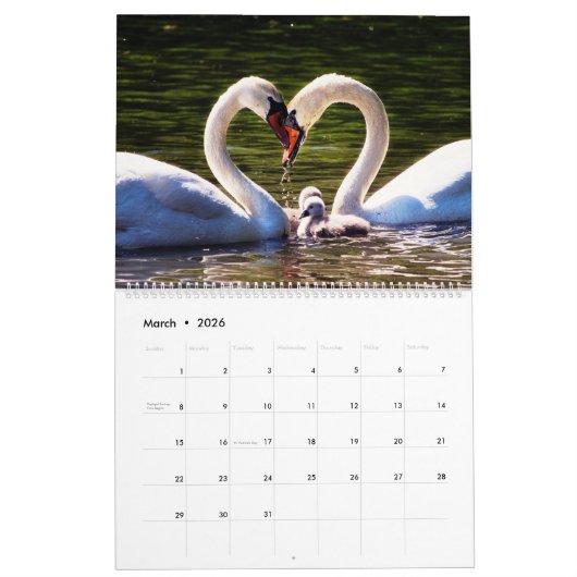 Calendrier Swans (Mar 2026)
