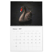 Calendrier Swans (Feb 2027)