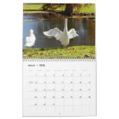 Calendrier Swans of Spring Grove  (Mar 2026)