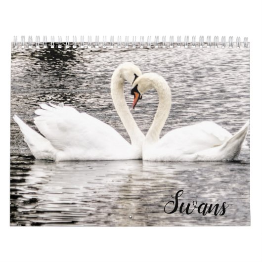 Calendrier Swans of Spring Grove  (Protection)