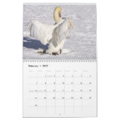 Calendrier Swans of Spring Grove  (Feb 2027)
