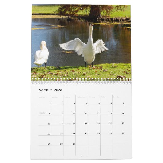Calendrier Swans of Spring Grove (Mar 2026)