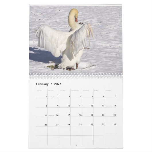 Calendrier Swans of Spring Grove (Feb 2026)
