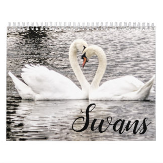 Calendrier Swans of Spring Grove