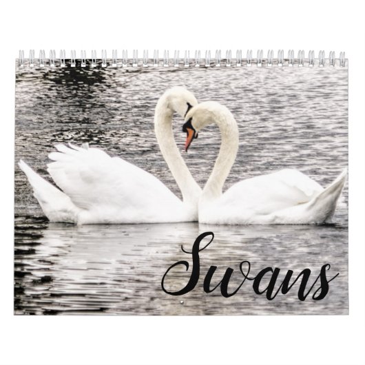 Calendrier Swans of Spring Grove (Protection)