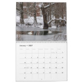 Calendrier Swans of Spring Grove (Jan 2027)