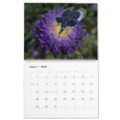 Calendrier Sweet Funny Elephant Crossbreeds 2023 (Mar 2026)