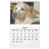 Calendrier Sweety Doggie 2009 (Mar 2026)
