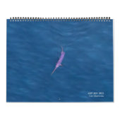 Calendrier Swordfish Only Calendar 2026 (Protection)