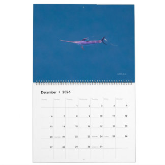 Calendrier Swordfish Only Calendar 2026