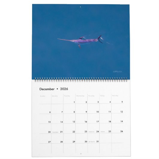 Calendrier Swordfish Only Calendar 2026 (Dec 2026)