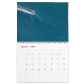 Calendrier Swordfish Only Calendar 2026 (Feb 2026)