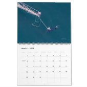Calendrier Swordfish Only Calendar 2026 (Mar 2026)