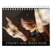 Calendrier Sydney et Ziggi 2009 (Protection)