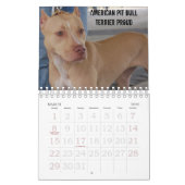 Calendrier Sydney et Ziggi 2009 (Mar 2026)