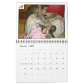 Calendrier Syminou 2018 Savannah Cat (Feb 2027)