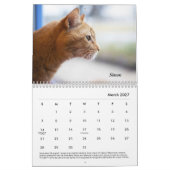 Calendrier Tabby's Place Calendar 2021 (Mar 2027)