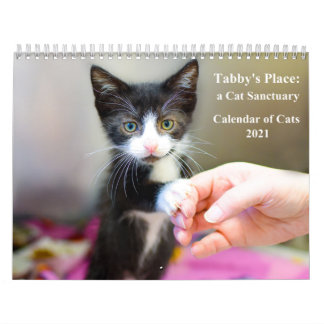 Calendrier Tabby's Place Calendar 2021