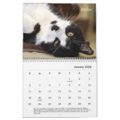 Calendrier Tabby's Place Calendar 2021 (Jan 2026)