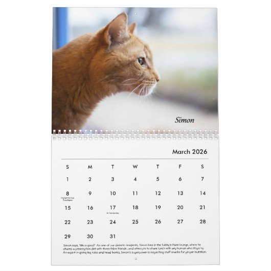Calendrier Tabby's Place Calendar 2021 (Mar 2026)