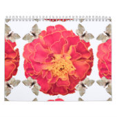Calendrier Tagete-ByRino (Protection)
