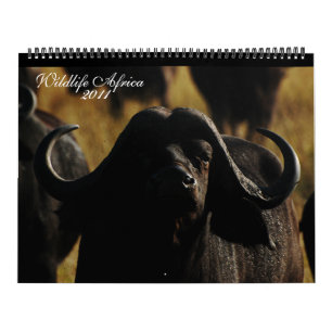 Calendrier Taille énorme de 2011 animaux africains de