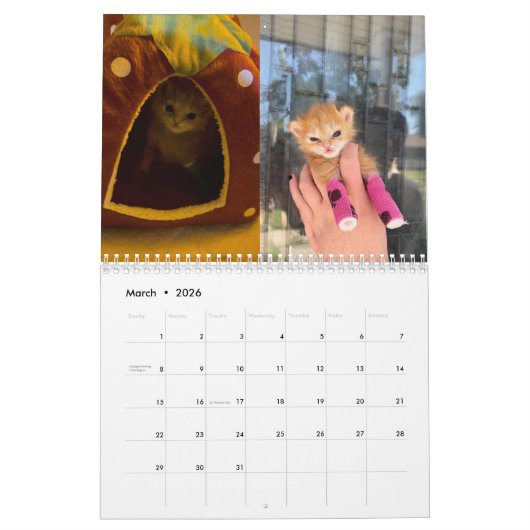 Calendrier Tater Tot 2024 (Mar 2026)