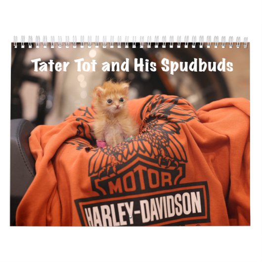 Calendrier Tater Tot 2024 (Protection)