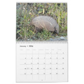 Calendrier Tatous (Jan 2026)