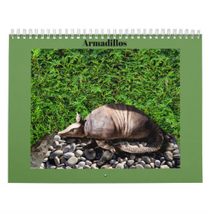 Calendrier Tatous