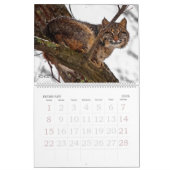 Calendrier TCWC - Native California Wildlife Custom Year (Feb 2026)