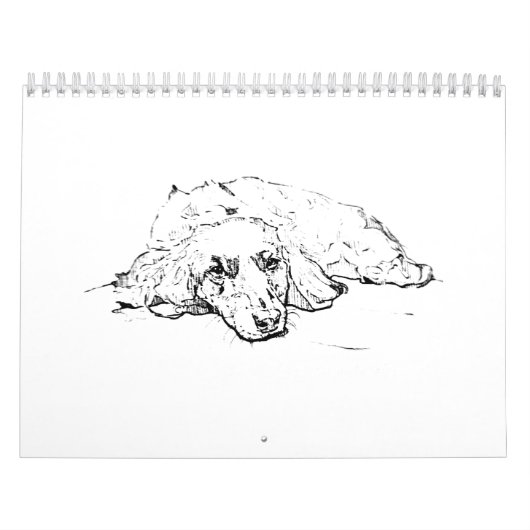 Calendrier Teckel, Cadeau mural de chien saucisse (Protection)