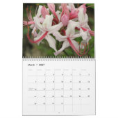 Calendrier Tennessee Fleur sauvage 2013 (Mar 2027)
