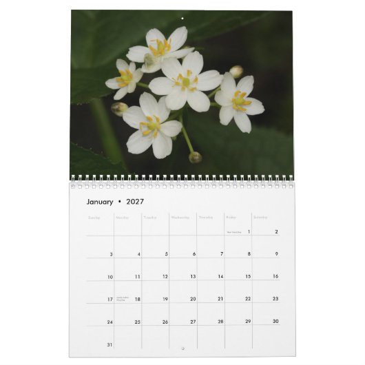 Calendrier Tennessee Fleur sauvage 2013 (Jan 2027)