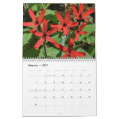 Calendrier Tennessee Fleur sauvage 2013 (Feb 2027)