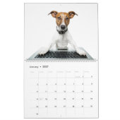 Calendrier Terriers Jack Russell (Jan 2027)