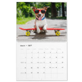 Calendrier Terriers Jack Russell (Mar 2027)