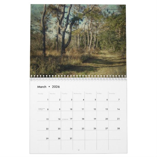 Calendrier - Textures côtières (Mar 2026)
