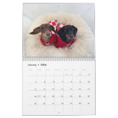 Calendrier The 2026 Starbox Dachshunds Calendar (Jan 2026)
