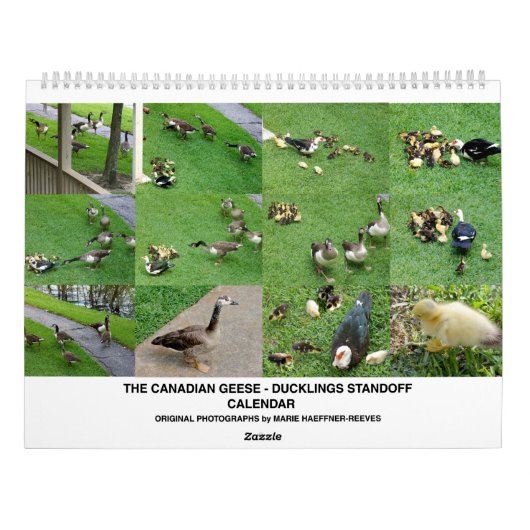 CALENDRIER THE *CANADIAN GEESE* - *DUCKLINGS* STANDOFF 2026 (Dos)