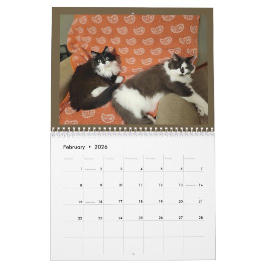 Calendrier The Chronicles of Todd & Friends 2026 Calendar (Feb 2026)