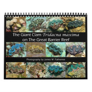 Calendrier The Giant Clam Tridacna maxima par J.W. Patrie.