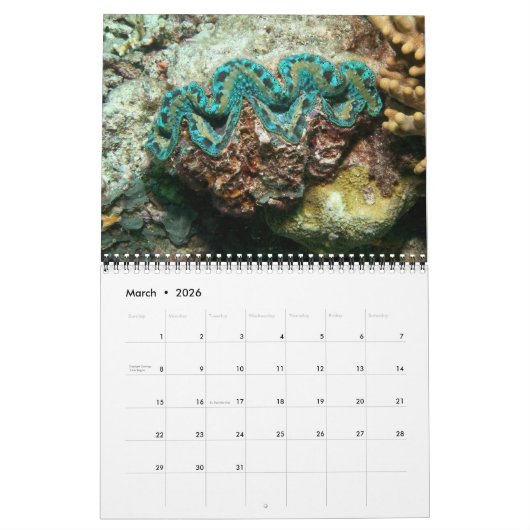 Calendrier The Giant Clam Tridacna maxima par J.W. Patrie. (Mar 2026)