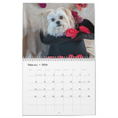 Calendrier The Life of Gilbert Calendar 2026 (Feb 2026)