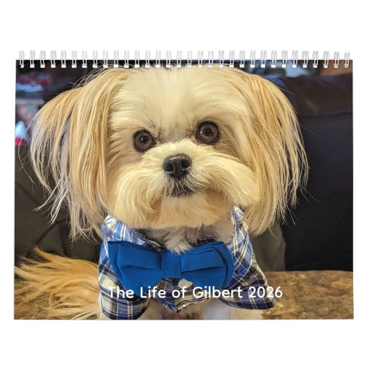 Calendrier The Life of Gilbert Calendar 2026 (Protection)